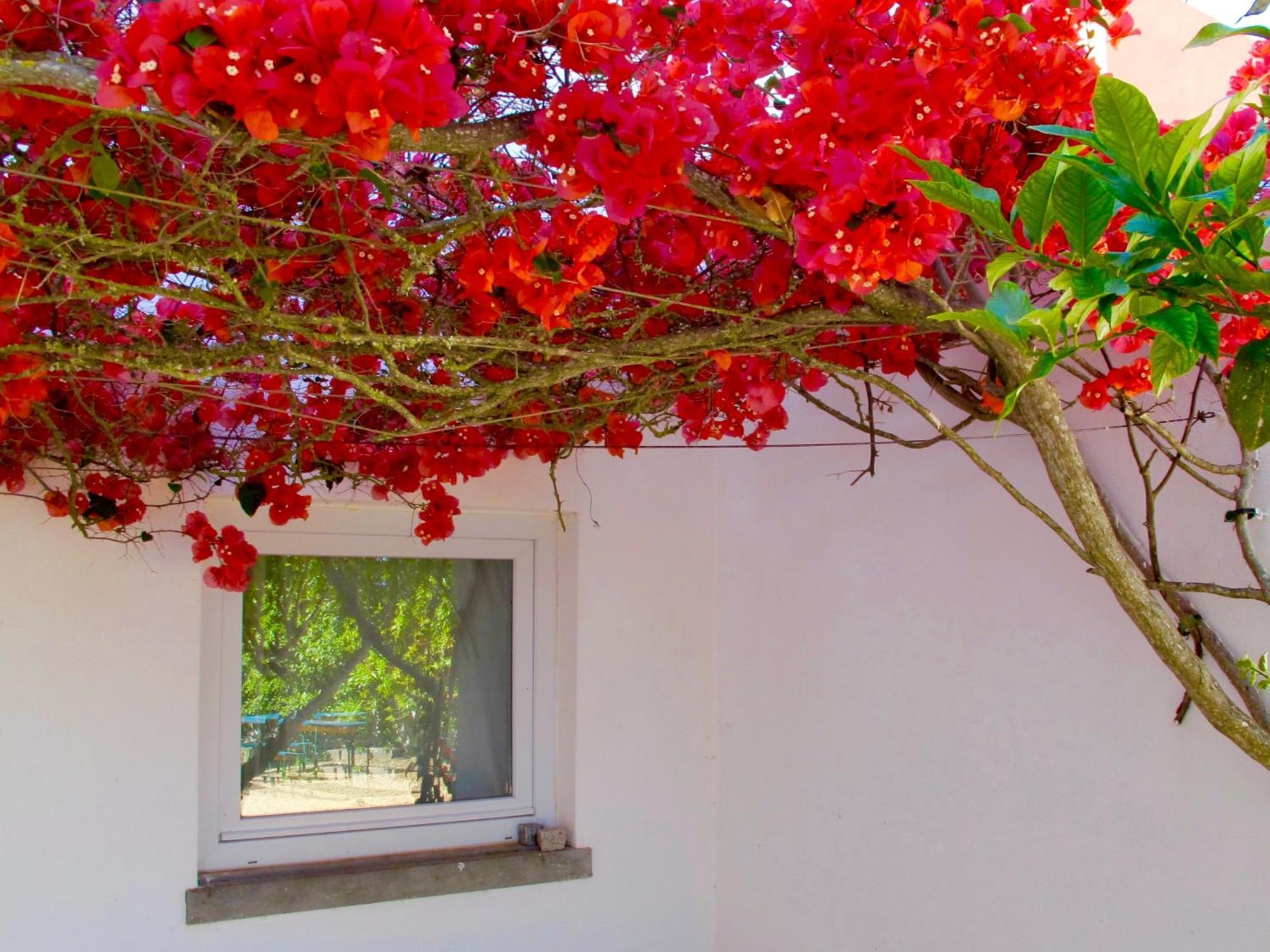 Seaya Holiday home *